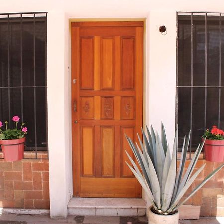 Casa Luna Coyoacan 멕시코 시 외부 사진